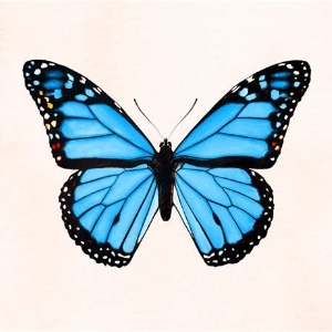 Natalie's Profile Image
