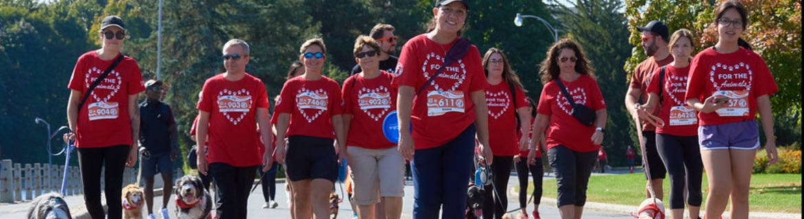 Casey Kasem's Crew Banner Image