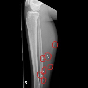 Nadja's Profile Image