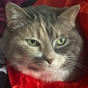 Shawna's Profile Image