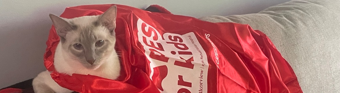 Cat Crusaders for Capes for Kids Banner Image