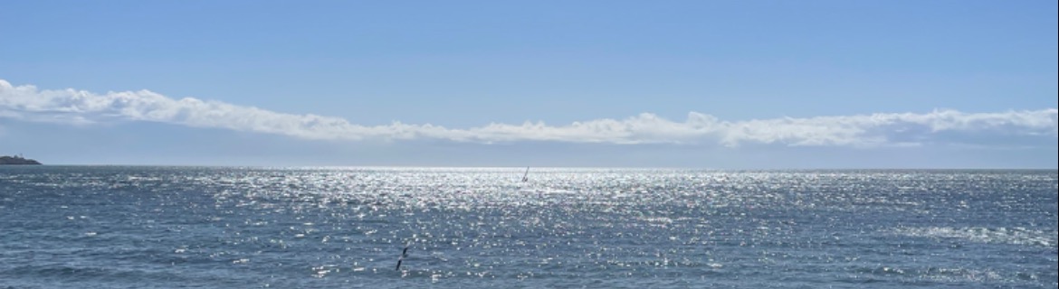 Naomi's Run for Rural Medicine Page Banner Image